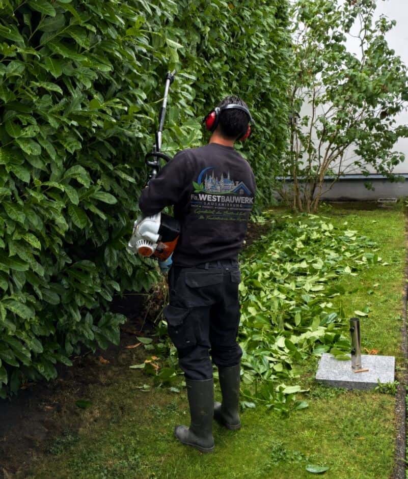 Westbauwerk-Fachkraft bei der Gartenpflege: Heckenschnitt mit Firmenlogo auf dem Rücken